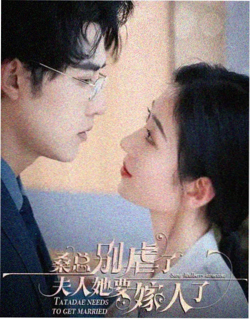 纯情罗曼史剧场版剧情时间线整理封面